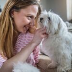 prepare-home-rescue-dog